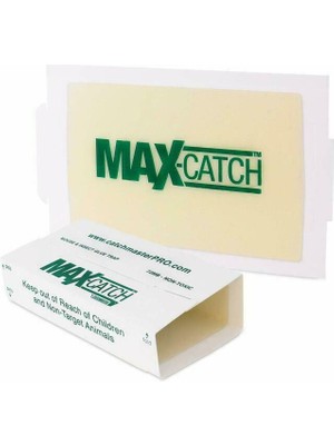 Catch Catchmaster Maxcatch Yapışkanlı Fare Tuzağı - 3'lü Kutu