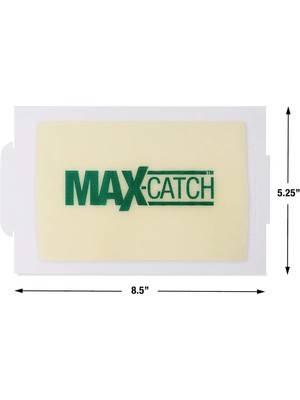 Catch Catchmaster Maxcatch Yapışkanlı Fare Tuzağı - 3'lü Kutu