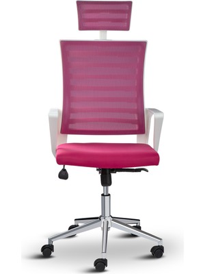 Asbir Mobilya Ceo Fileli Başlıklı Metal Ayaklı Çalışma Koltuğu Ofis Sandalyesi