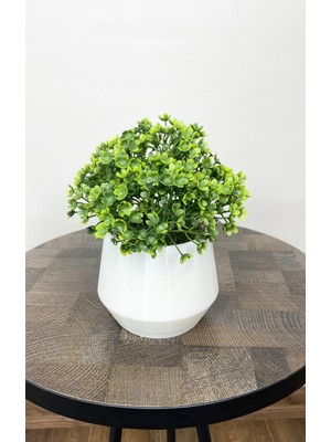 Indoor Dekor Yapay Çiçek Beton Saksıda Sukulent Yeşil