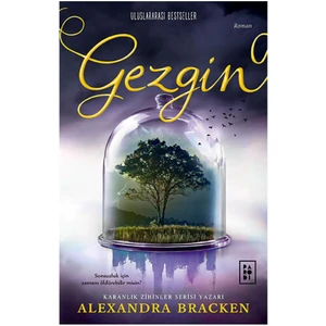 Gezgin: Yolcu Serisi 2. Kitap - Alexandra Bracken