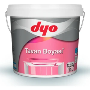 Tavan Boyası