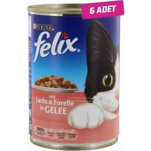 Somonlu ve Alabalıklı Konserve Kedi Mamasi 400 gr 6'lı