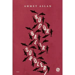 Küçük Balık Sürüleri - Ahmet Aslan