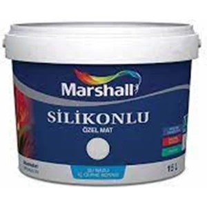 Silikonlu Özel Mat Bm Baz Iç Cephe Boyası 1 Lt