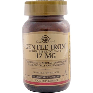 Gentle Iron 17 mg 90 Kapsül
