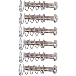 6 Adet Demir Köprü Tailpiece Vidalar + Elektro Gitar Parçaları Için Yaylar Gümüş( Yurt Dışından)