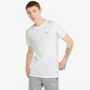 Evostripe Erkek Tişört