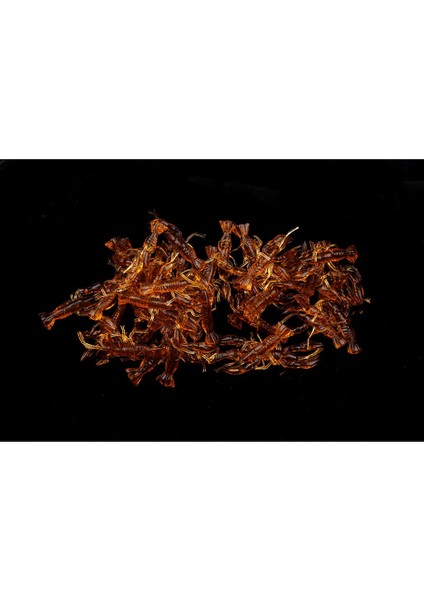 50 Adet Kerevik Yumuşak Yem Balıkçılık Cazibesi Kerevit Jig Başkanı Kahverengi (Yurt Dışından) indirimleri