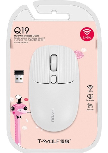 Q19 1000 Dpı 2.4 Ghz Kablosuz Mouse