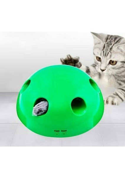 Elektronik Kedi Oyuncağı (Yurt Dışından) modelleri