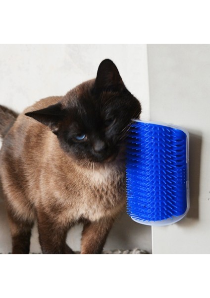 Kedi Naneli Tırmalama Koruyucu (Yurt Dışından) fırsatları