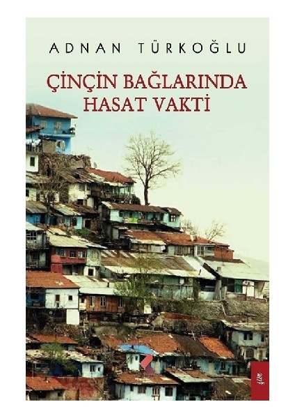 Çinçin Bağlarında Hasat Vakti