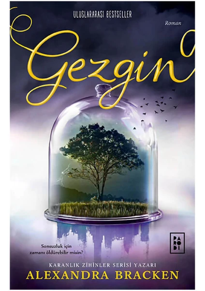 Gezgin: Yolcu Serisi 2. Kitap - Alexandra Bracken