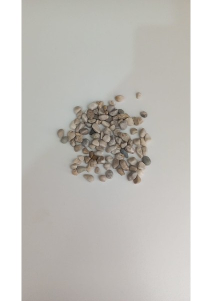 Küçükboy Çakıltaşı 100 Gr. fırsatları