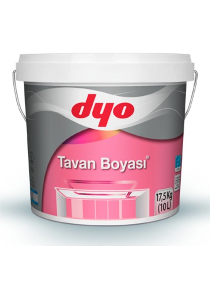 Tavan Boyası