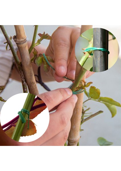 Plastik Bitki Kablo Bağları Yeniden Kullanılabilir Kablo Bağları Sera Bahçe Büyüme Kitleri Ayarlanabilir Plastik Bitki Kablo Bağları(Yurt Dışından) indirimleri