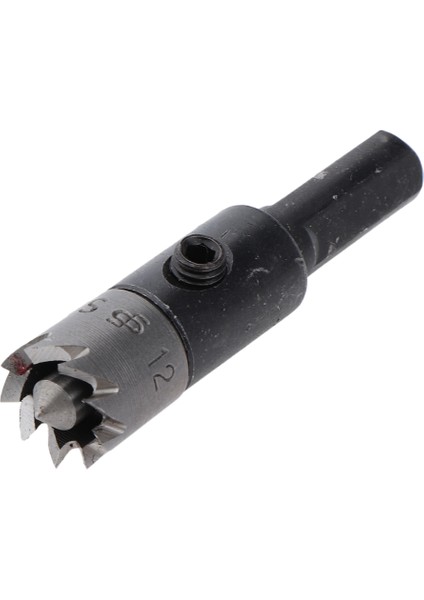 Anahtarlı 12MM Erik Çiçeği Yüksük Matkap Ucu Mini Torna Makinesi Aksesuarı