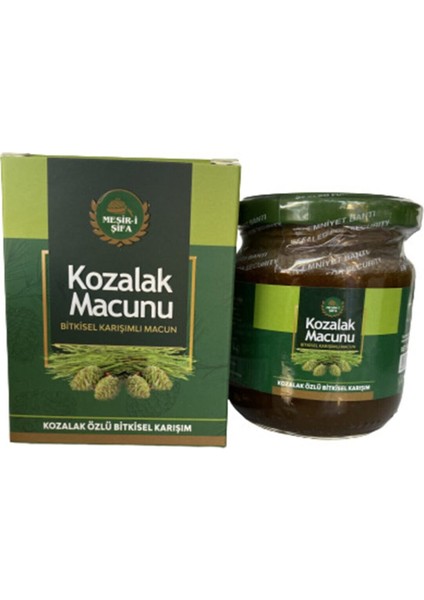 Kozalak Macunu 240 gr