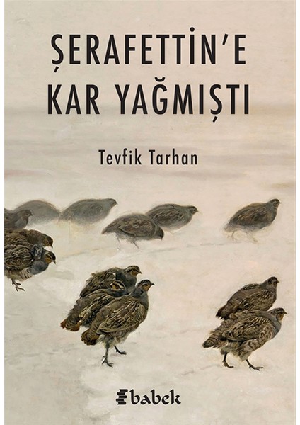 Şerafettin’e Kar Yağmıştı - Tevfik Tarhan