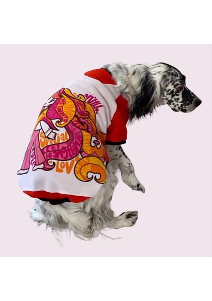 Cute Girl Special Sweatshirt Orta ve Büyük Irklar Için fiyatları