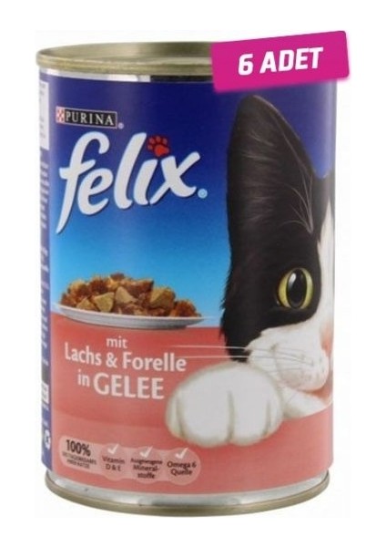 Somonlu ve Alabalıklı Konserve Kedi Mamasi 400 gr 6'lı