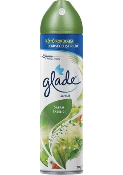 Aerosol Oda Kokusu Sprey 300 ml - Sabah Tazeliği