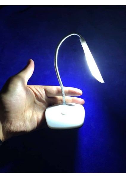 Mini LED Masa Lambası Pilli Kitap Okuma Işığı LED Lamba