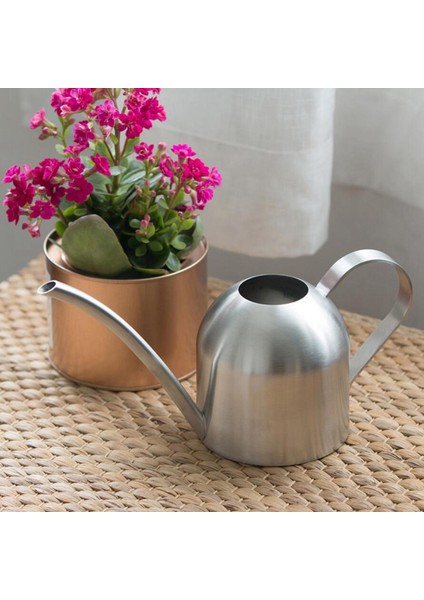 1l Sulama Olabilir Uzun Musluk Bonsai Succulents Sulama Pot Kavanoz Bahçe Aracı Gümüş (Yurt Dışından)