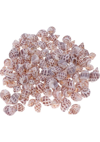 500G Karışık Deniz Plaj Kabukları Zanaat Deniz Kabukları Akvaryum Balık Tankı Dekor # 2 500G (Yurt Dışından)