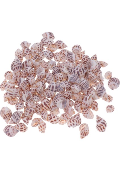 500G Karışık Deniz Plaj Kabukları Zanaat Deniz Kabukları Akvaryum Balık Tankı Dekor # 2 500G (Yurt Dışından) fiyatları