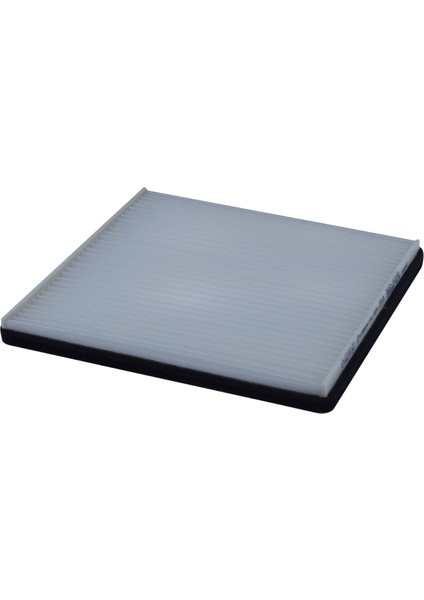 Chery Tiggo | 2008 >… 2.0 Polen Filtresi