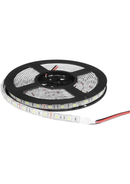 Dora Led 24V Şerit LED Beyaz 5050 IP65 24 Volt Şerit LED (5m)