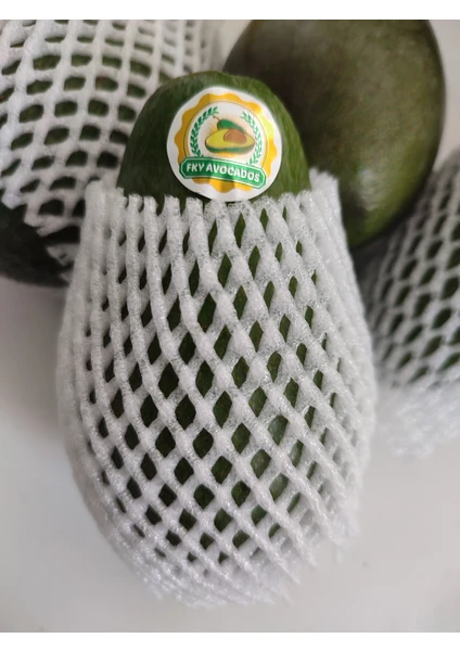 FKY AVOCADOS 5 Adet Avokado Ortalama 250 Gram ve Üstü İhracatlık Kalite