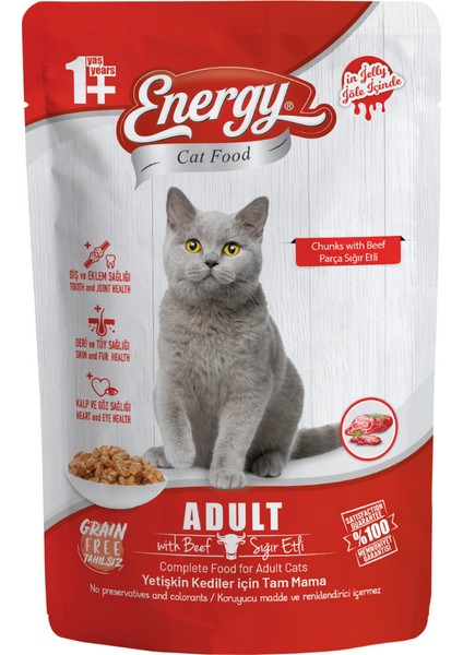 Sığır Etli Islak Kedi Maması 85 gr x 24