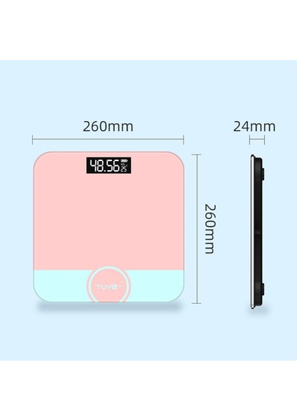 6026 Ev Tartı Ölçeği Pil Stlye Domuzlar (Yurt Dışından) fiyatları