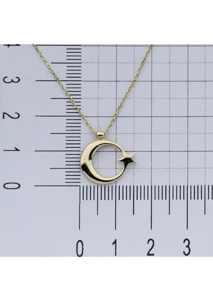 14K Altın Şanlı Ay Yıldız Kolye 4N31128