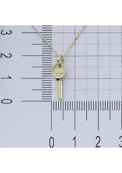 14K Altın Anahtar Kolye 4N28340
