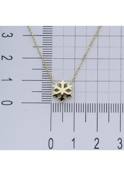 14K Altın Kar Tanesi Kolye 4N28341