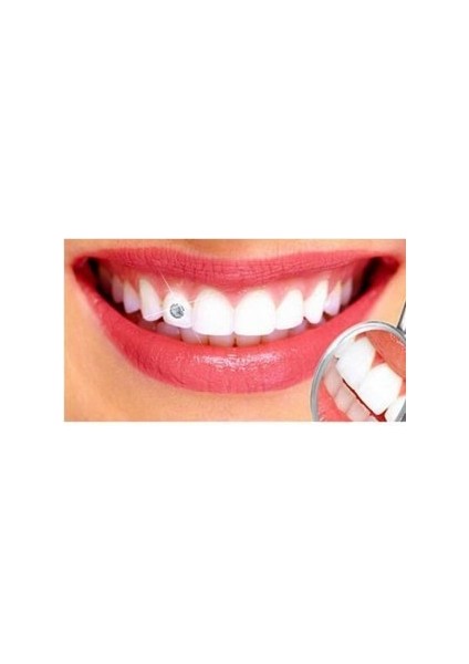 Diş Taşı Aksesuar fiyatları