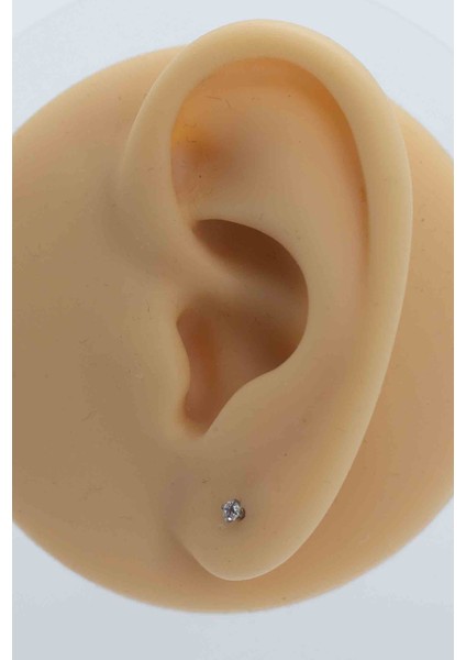 Paslanmaz Çelik Kulak Piercing Küpe