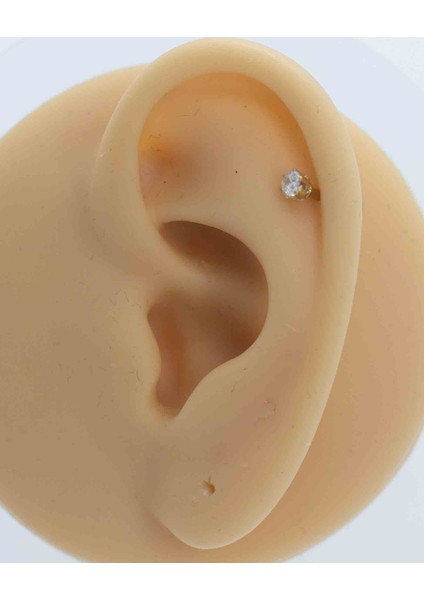 Paslanmaz Çelik Kulak Piercing Küpe