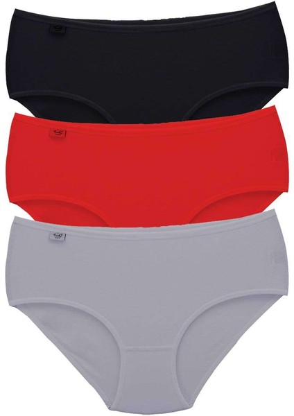 3 Adet Tutku Kadın Yüksek Bel Bato Ince Lastik Külot S2