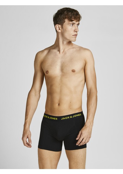 5'li Düz Renk Logolu Boxer