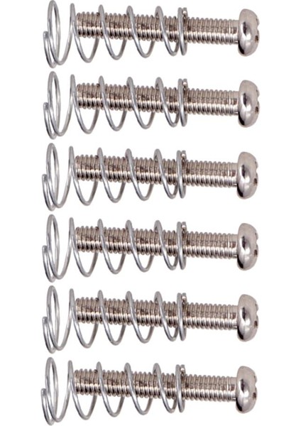 6 Adet Demir Köprü Tailpiece Vidalar + Elektro Gitar Parçaları Için Yaylar Gümüş( Yurt Dışından)