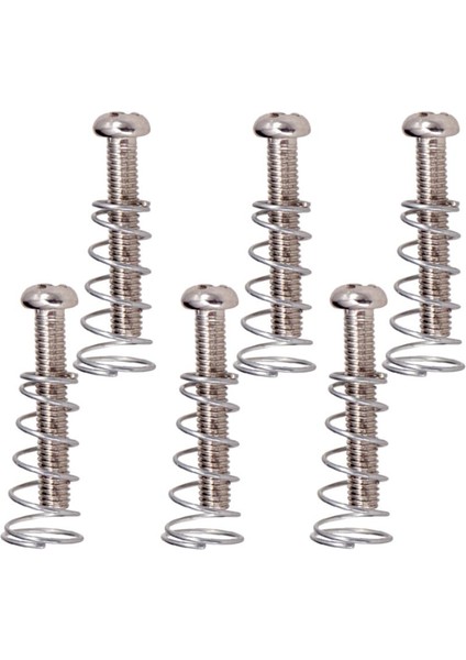 6 Adet Demir Köprü Tailpiece Vidalar + Elektro Gitar Parçaları Için Yaylar Gümüş( Yurt Dışından) fırsatları