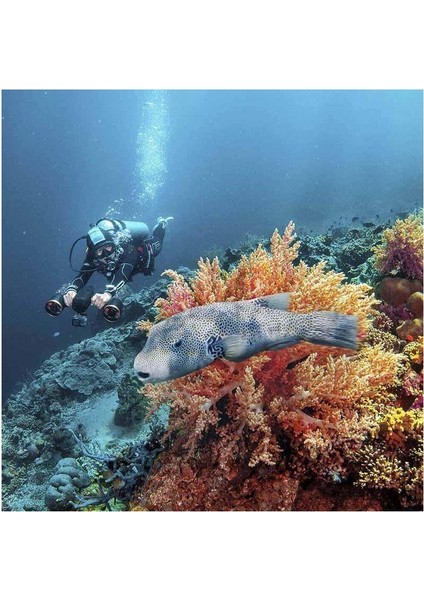 Whiteshark Mixpro Siyah Su Altı Deniz Scooter ATALAR116 modelleri