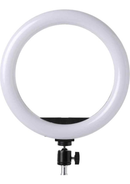 DZ66 Ring Light 26CM LED Video Işığı (Ayak Dahil)