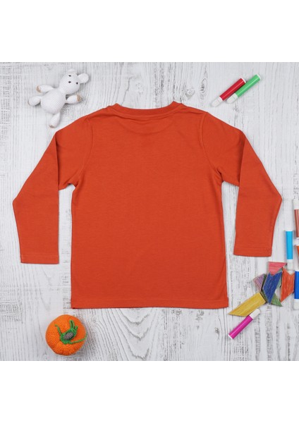Organik Erkek Çocuk Uzun Kollu T-Shirt - Kiremit fiyatları