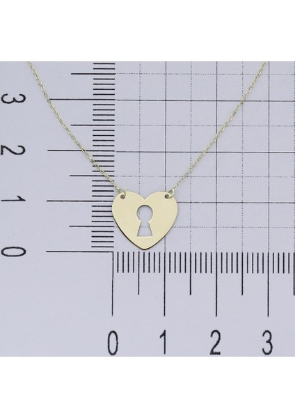 14K Altın Kalbimin Kilidi Kolye 4N37047 fırsatları